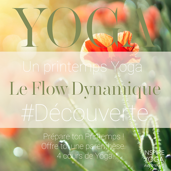 le flow dynamique 2026