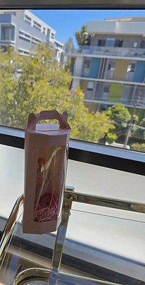 Scented Glass Bottle Diffuser 100ml