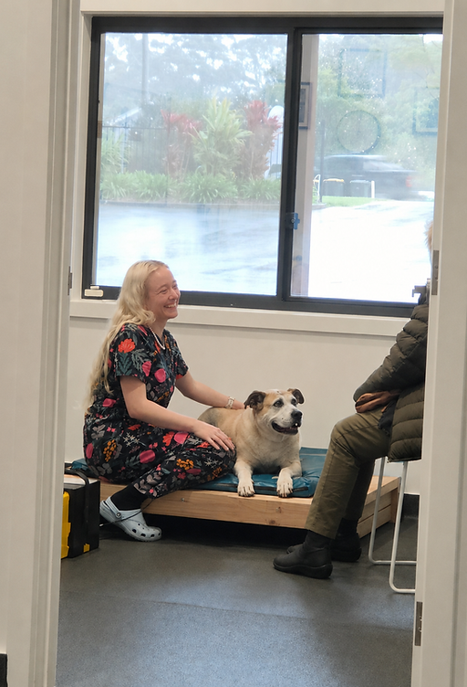 Rehab nurse with dog.png