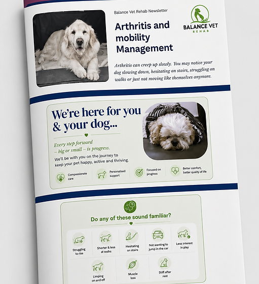 Arthritis Newsletter (2).png