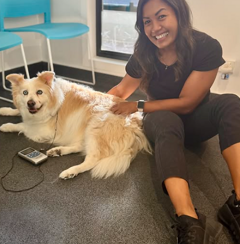 Dog arthritis physiotherapy.png