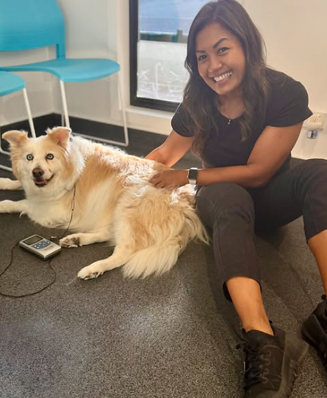 Dog arthritis physiotherapy.png