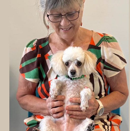 Poodle dog rehab.png
