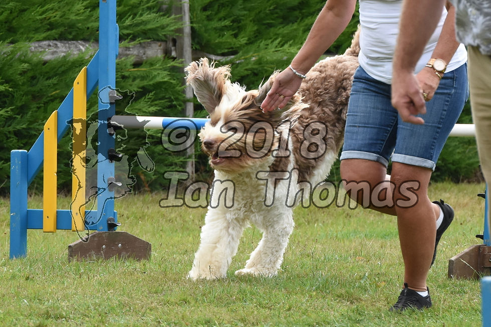FDAShow2018-3473