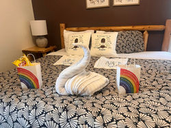 FB_IMG_1763929669396