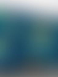 Destaque Cultural: O Encontro da Tradição Gastronômica com a Arte Sul-Mato-Grossense