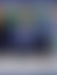 Bruno Barros solicita limpeza de ruas e reparo de lonas na feira tradicional de Maracaju