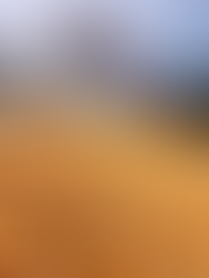 Clima e Câmbio Apertam o Cerco: Produtores de MS Enfrentam a Tempestade Perfeita na Colheita da Soja