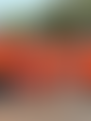 Primeiro Dia Municipal dos Legendários é celebrado em Maracaju em reconhecimento ao trabalho voluntário que transforma vidas e fortalece a comunidade