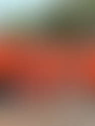 Primeiro Dia Municipal dos Legendários é celebrado em Maracaju em reconhecimento ao trabalho voluntário que transforma vidas e fortalece a comunidade