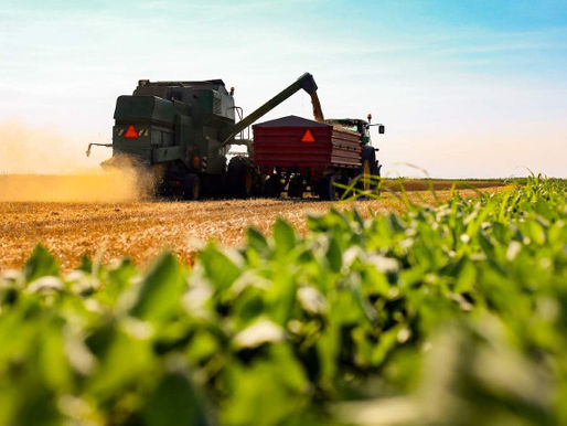 Análise: Queda na Produção de Soja de Maracaju Sinaliza Mudança e Diversificação em MS
