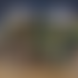 Ouro Pan-Americano: Técnica de Maracaju faz história no basquete master e inspira nova geração