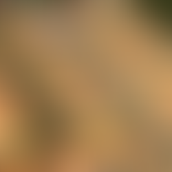 🏛️ Prefeitura convoca população para acompanhar abertura de propostas para programa de moradias