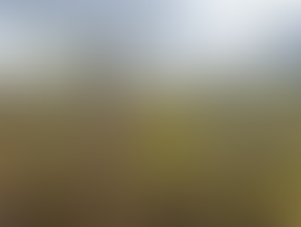 Estiagem atinge 640 mil hectares no sul de MS e derruba para 41,2% as lavouras em boas condições