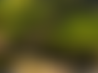 Maracaju dá passo histórico e cria serviço próprio para acelerar Reforma Agrária e Regularização de Terras