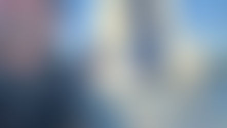 Mindset of a Champion