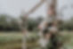 BerthuesSchuette-344.jpg