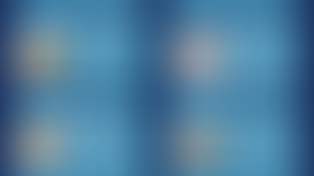 Nutrition / Rejuvenation Programs Overview