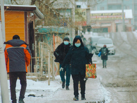 Your Immune System, Covid-19 & the Coming Winter