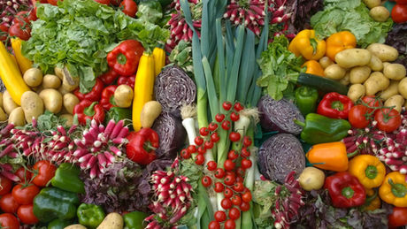 Phytonutrients - Taste the Rainbow