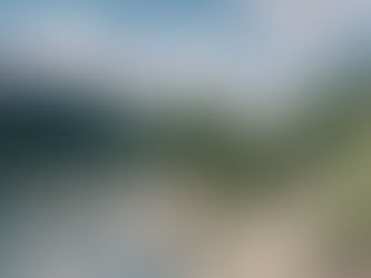 A True Detox - The Apeiron Life Perspective