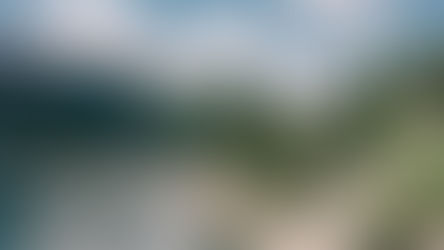 A True Detox - The Apeiron Life Perspective