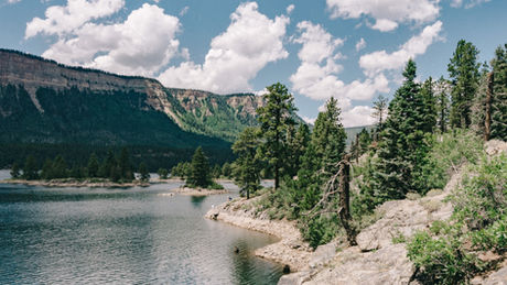 A True Detox - The Apeiron Life Perspective