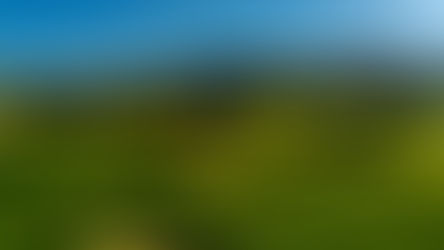 What to do Now for Better Golf