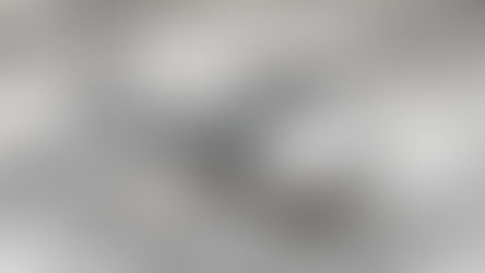 Leucine Supplementation - The Apeiron Life Perspective