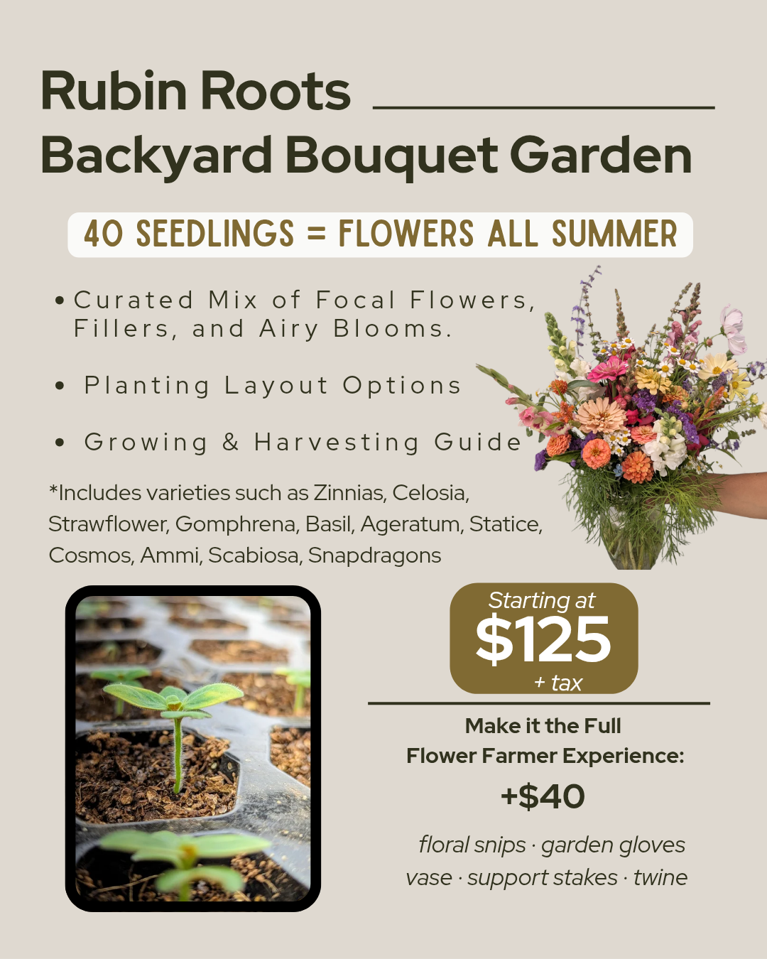 Backyard Bouquet Garden