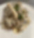 Creamy Wild Mushrooms on Sourdough