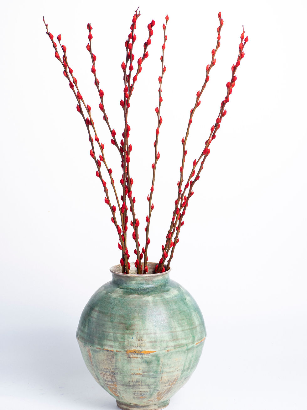 Thumbnail: Pussy Willow Tinted Red