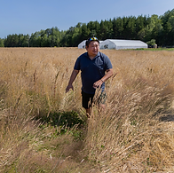 Cania Lee of OJ's Produce in Growing for Good walks through a field of wheat