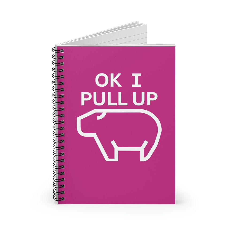 Ok I Pull Up Capybara Spiral Notebook - Dk Pink