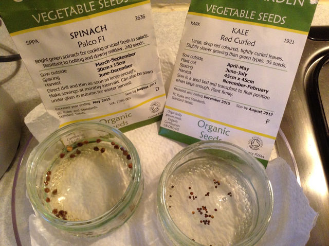 Home Grown - Organic Veggies - Week 1