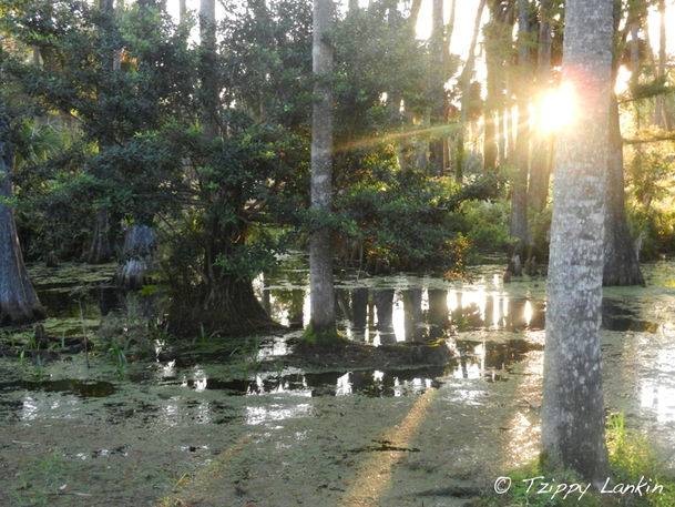 photo_landscape_002.jpg