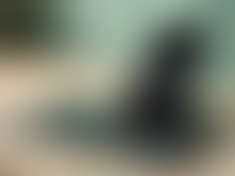 TikTok Trends: Leveraging the Platform for Business Growth