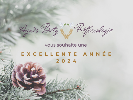 Vœux et objectifs 2024!