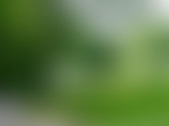 2026 CPH Guild Annual Golf Tournament - Sponsor, Donate, Sign up a Team!