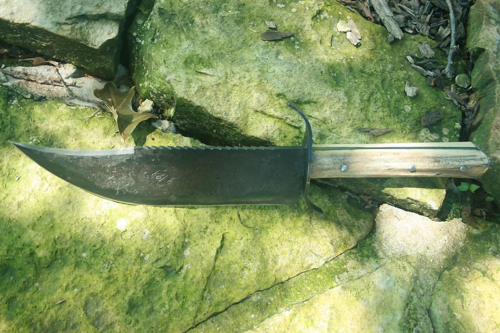 IMG_2615.335110419_large