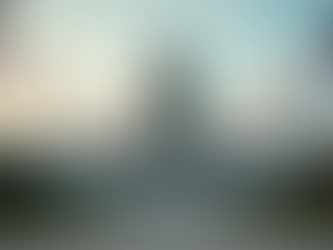 Conducting Effective Government Research Strategies