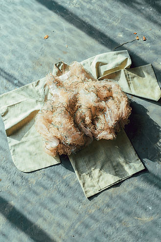 20231228_tutu-1.jpg