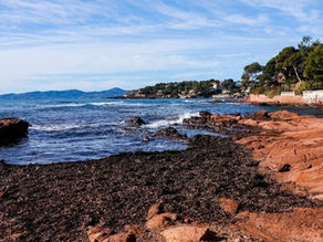 Boulouris à Saint-Raphaël : le joyau naturel de la Côte d’Azur encore méconnu