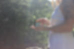 Thumbnail: Tallow Face Cream