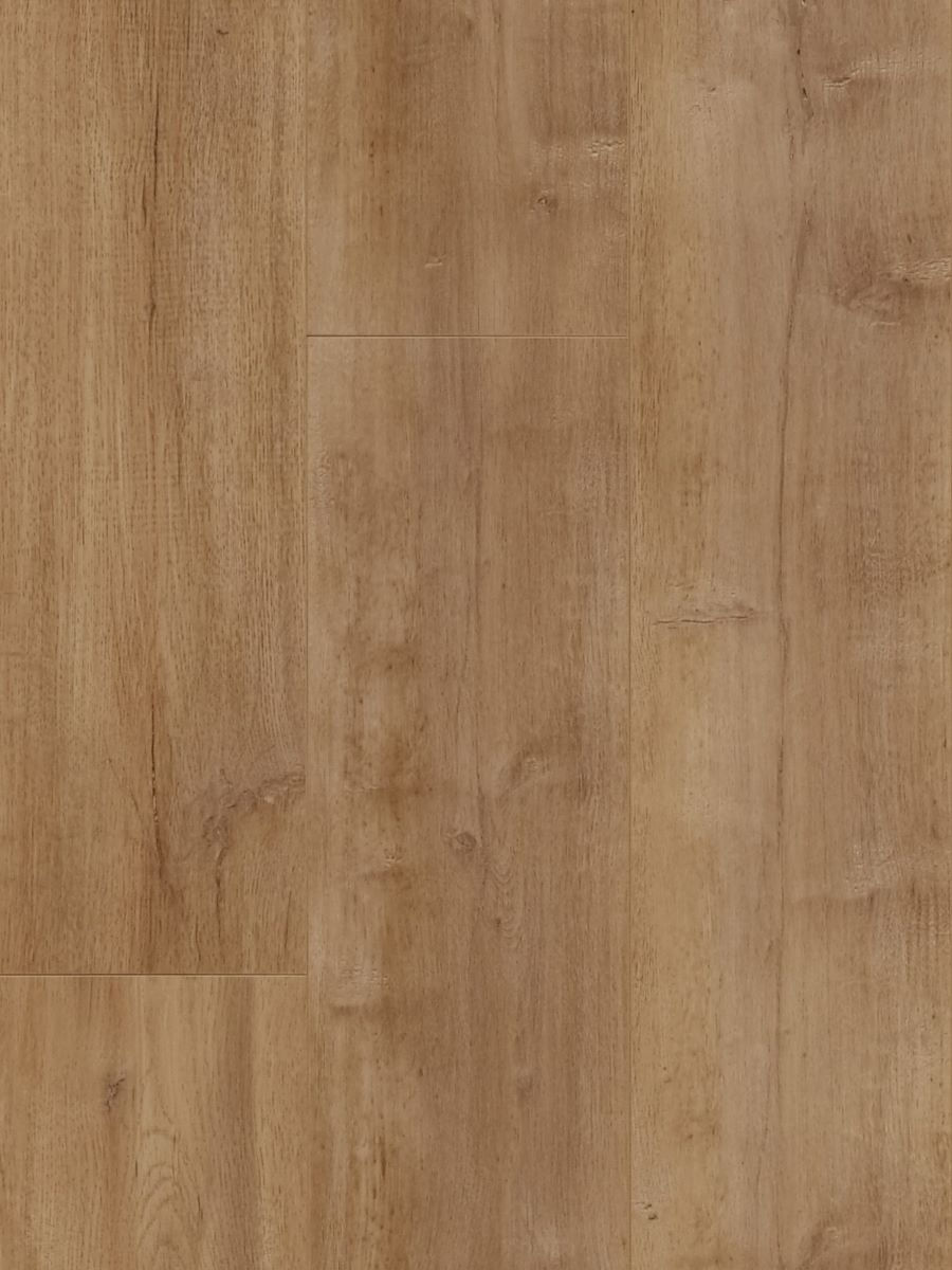 Towny Oak