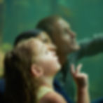 so-much-see-shot-family-three-outing-aquarium.jpg