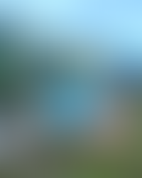 Lord of the Fishes Pose: Matsyendrasana