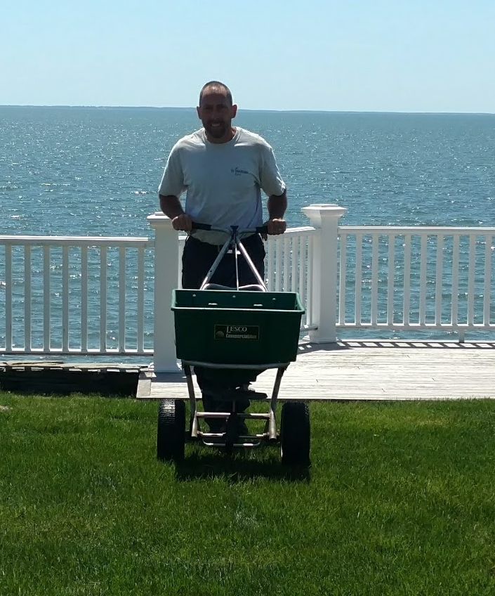Fertilize regularly