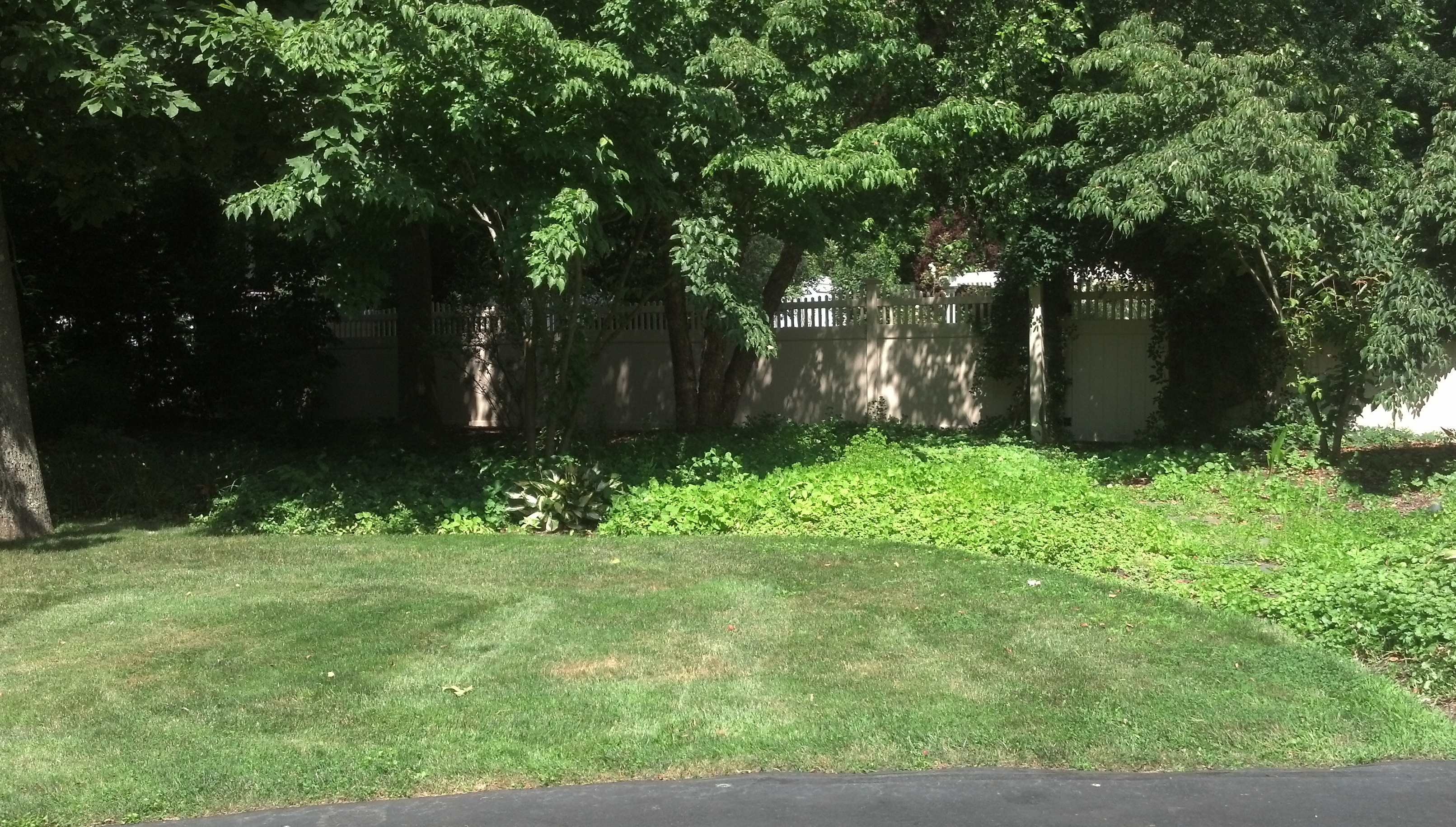Cottage Garden Madison Ct Landscapers Ct M M Garden Designs