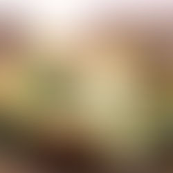 Double Baked Potato Boats